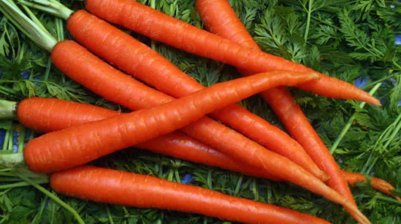 gastrite-e-carote