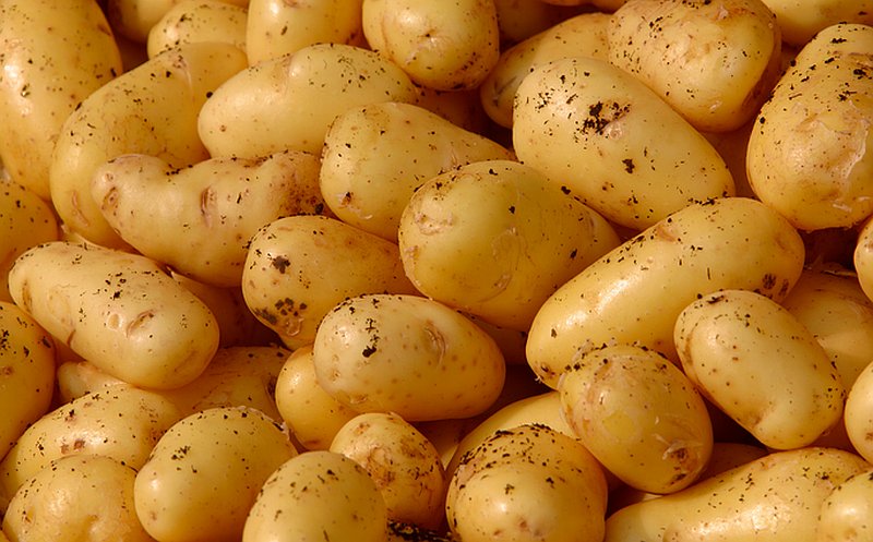 rimedi-gastrite-patate